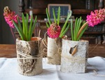 Ideas para decorar tu mesa durante el mes de marzo