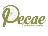 Pecae Carritos Para Eventos